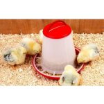 R-line Tubusové krmítko 6 kg – Sleviste.cz