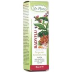 Dr. Popov Bylinné kapky Badyflu 50 ml – Zbozi.Blesk.cz
