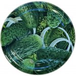 Alians-dn Víčko TO 82 okurky RTS paster – Zboží Dáma