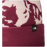 The North Face ski tuke čepice – Hledejceny.cz