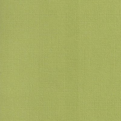 URSUS Texturovaná čtvrtka Basic 30,5 × 30,5 cm olivově zelená 220 g/m2 – Zboží Dáma