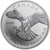 Royal Canadian Mint The Sokol stěhovavý Birds of Prey 1 Oz