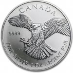 Royal Canadian Mint The Sokol stěhovavý Birds of Prey 1 Oz – Zboží Mobilmania