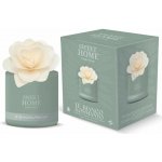 Sweet Home Collection difuzér s dřevěnou vonící květinou Bílý čaj a osmanthus 140 ml – Hledejceny.cz