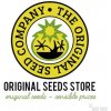 Semena konopí Original Sensible Seeds Girl Scout Cookies semena neobsahují THC 50 ks