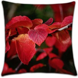 Buď v obraze polštář red foliage ANO M 35x35