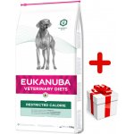 Eukanuba Veterinary Diets Restricted Calories Dog 12 kg – Hledejceny.cz