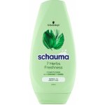 Schauma balzám 7-Herbs Freshness 250 ml – Sleviste.cz