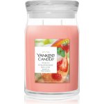 Yankee Candle Signature WHITE STRAWBERRY BELLINI 567 g – Hledejceny.cz