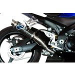 Termignoni S058080CR | Zboží Auto
