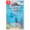 Hra na Nintendo Switch Dolphin Spirit Ocean Mission (D1 Edition)