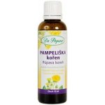 Dr. Popov Tinktura Pampeliška kořen 50 ml – Hledejceny.cz