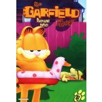 Garfield 18 DVD – Zbozi.Blesk.cz