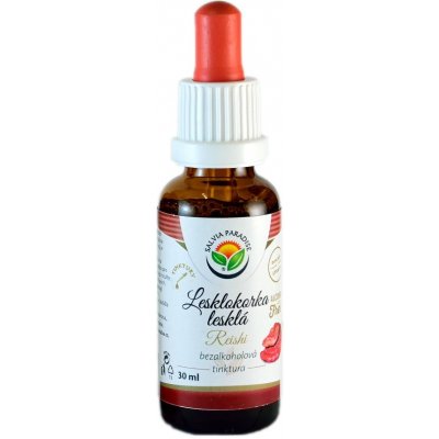 Salvia Paradise Lesklokorka lesklá AF tinktura 30 ml – Hledejceny.cz