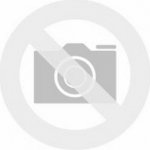 Olympus 10x21 DPC I – Zboží Živě