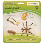 Safari Ltd. SFS662616 Životní cyklus Komár – Sleviste.cz