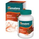 Himalaya Bacopa Memory Wellness 60 kapslí