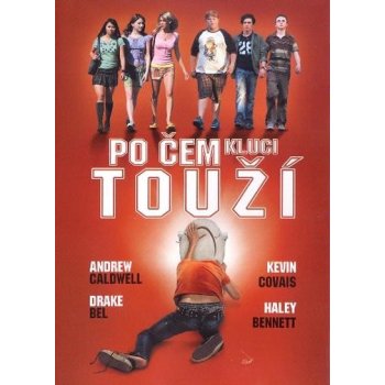 po čem kluci touží DVD