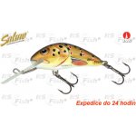 SALMO Hornet Potápivý 4 cm Trout – Hledejceny.cz