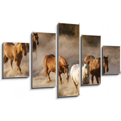 Obraz 5D pětidílný - 125 x 70 cm - wild horses running divoké koně běží – Zboží Mobilmania