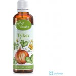 Serafin tinktura z bylin Tykev 50 ml – Hledejceny.cz
