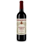 Coraggioso Montepulciano d'Abruzzo 2024 Červené suché 12,5% 0,75 l (holá láhev) – Hledejceny.cz