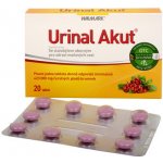 Walmark Idelyn Urinal Akut 20 tablet – Zboží Dáma