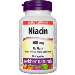 Webber Naturals Niacin 500 mg nealergický 90 kapslí – Hledejceny.cz