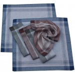 Etex pánské bavlněné kapesníky sáček 6ks – Zboží Dáma