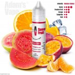 Adams vape Summer Fruit Shake & Vape 10 ml – Zboží Dáma