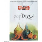 KOH-I-NOOR Blok 9920 A4 DRAW 180g 30 listů – Hledejceny.cz