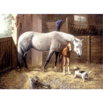 Malování obrazů podle čísel Koně ve stáji