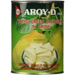 AROY-D zelený jackfruit kompot 565g – Hledejceny.cz