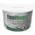 Mervue EQUIBOOST POWDER doplněk pro koně 1,5 kg – Hledejceny.cz