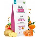 Brit Care Grain-free Puppy Salmon 3 kg – Zbozi.Blesk.cz