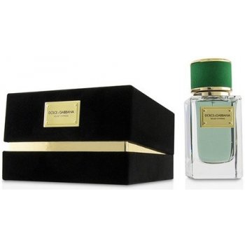Dolce & Gabbana Velvet Cypress parfémovaná voda unisex 150 ml