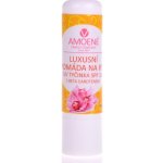 Amoené Pomáda na rty s beta-karotenem 4,2 g – Zboží Dáma
