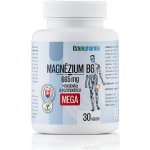 EDENPharma magnézium B6 MEGA 30 kapslí – Hledejceny.cz