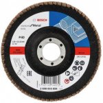 Bosch 2.608.603.656 – Zbozi.Blesk.cz