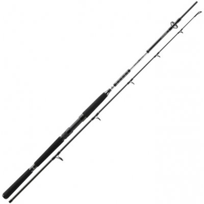 Daiwa BG Offshore Pilk 2,4 m 50-165 g 2 díly – Hledejceny.cz