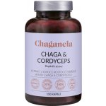 Chaganela Extrakt čagy s cordycepsem 150 kapslí – Hledejceny.cz
