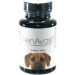 M+H VET AminAvast dog 60 tbl – Zboží Dáma M+H VET AminAvast dog 60 tbl – Zboží Dáma