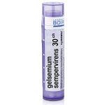 GELSEMIUM SEMPERVIRENS POR 30CH GRA 1X4G – Hledejceny.cz