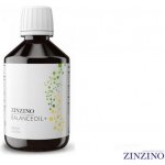 Zinzino BalanceOil Vegan 300 ml – Hledejceny.cz