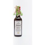 Sedmikráska bylinný extrakt Jitrocel 250 ml – Hledejceny.cz