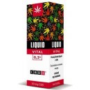CBDex Liquid Vital 03% 10 ml 30 mg