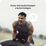 Vilgain Joint Support papája 360 g – Hledejceny.cz