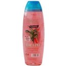 Šampon Chopa šampon Aloe vera 500 ml