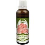 Milota Lesklokorka lesklá Reishi 50 ml – Hledejceny.cz
