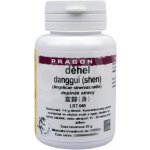 Sinecura Děhel danggui shen prášek 20 g – Hledejceny.cz